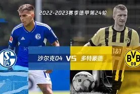 满冠体育APP-沙尔克主场失利，遭遇德甲连败厄运的简单介绍