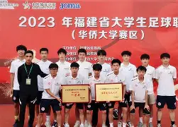 猛龙双星领衔心态调整，球队迎来转机的简单介绍