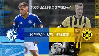 沙尔克主场失利,遭遇德甲连败厄运的简单介绍 沙尔克主场失利,遭遇德甲连败厄运的简单介绍